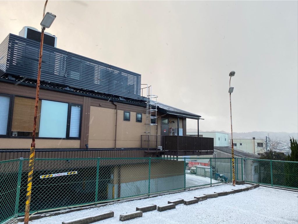 久しぶりの雪やね